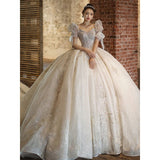Wedding Dress 2023 New Short Sleeve Embroidered Tulle Ball Gown Wedding Gowns Shinny Princess